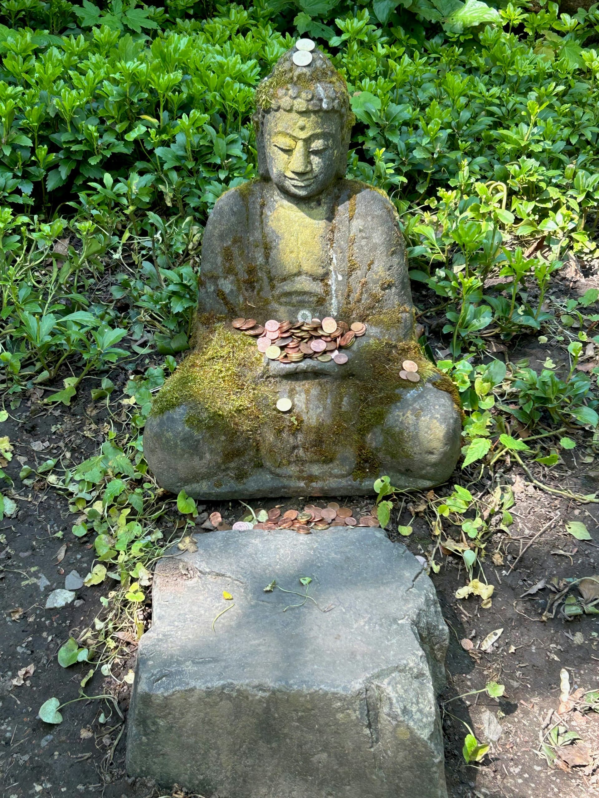 BaFin warnt vor chartlogic.de - möglicher Betrugswebsite